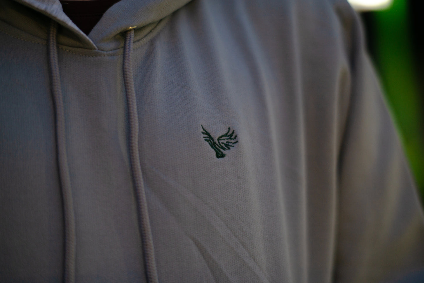 Polerón/Hoodie RAIU